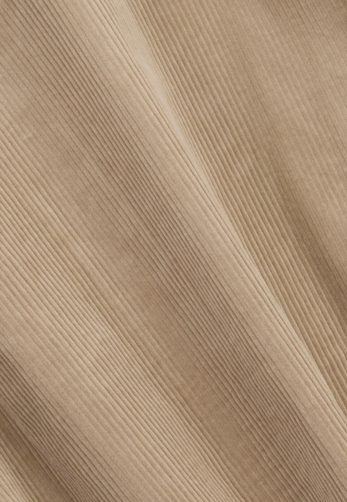 Boggi, Camicia In Velluto A Coste Misto Cotone Regular Fit, Uomo, Beige, Taglia: XXL - immagine 5