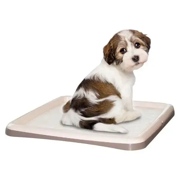 Portatappetino per addestramento cuccioli Tip&Tap PetUp Per tappetino da 60 x 90 cm - immagine 1