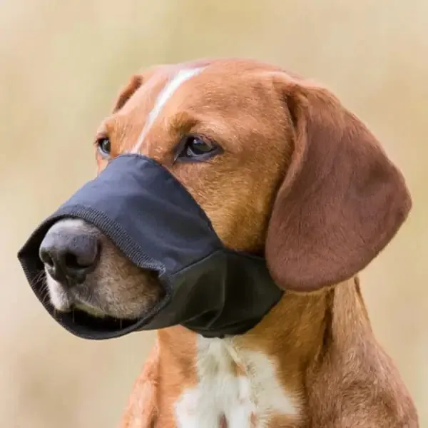 Museruola per cani regolabile in poliestere Trixie Taglia XS - immagine 1