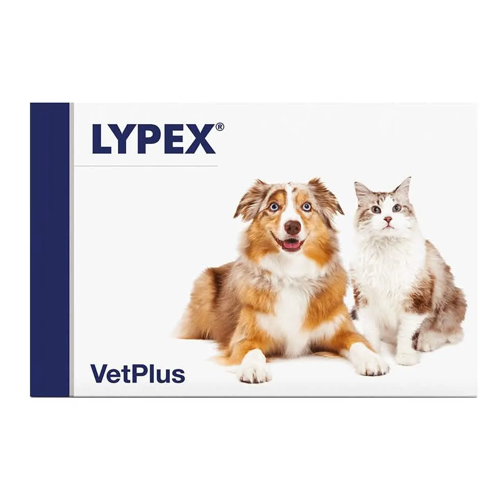 Lypex 60 capsule - immagine 1