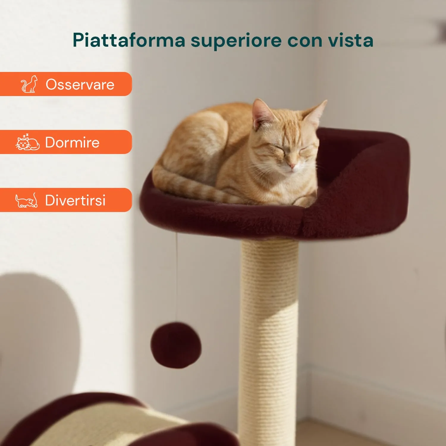 Avilia Tiragraffi Gatti Piccoli 50 cm, Arco in Sisal e Pallina, Bordeaux - immagine 3