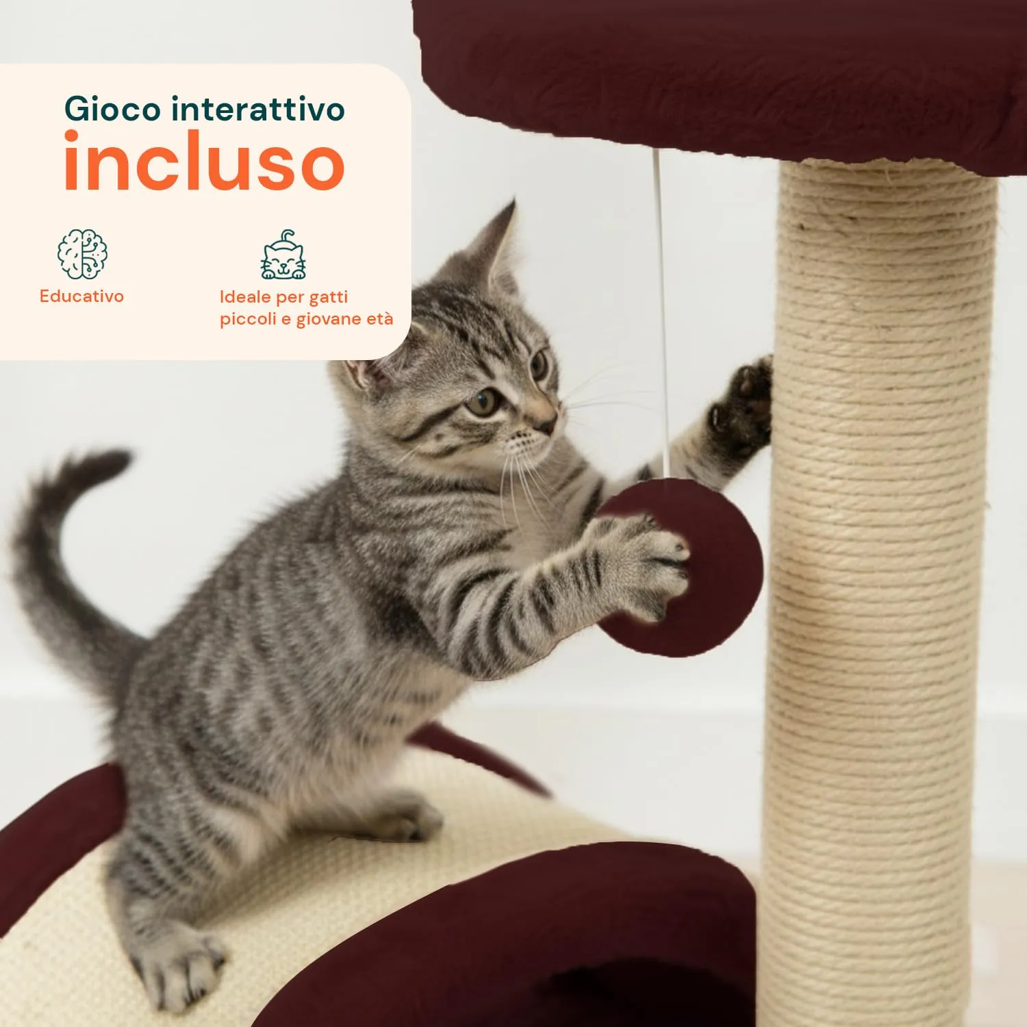 Avilia Tiragraffi Gatti Piccoli 50 cm, Arco in Sisal e Pallina, Bordeaux - immagine 6