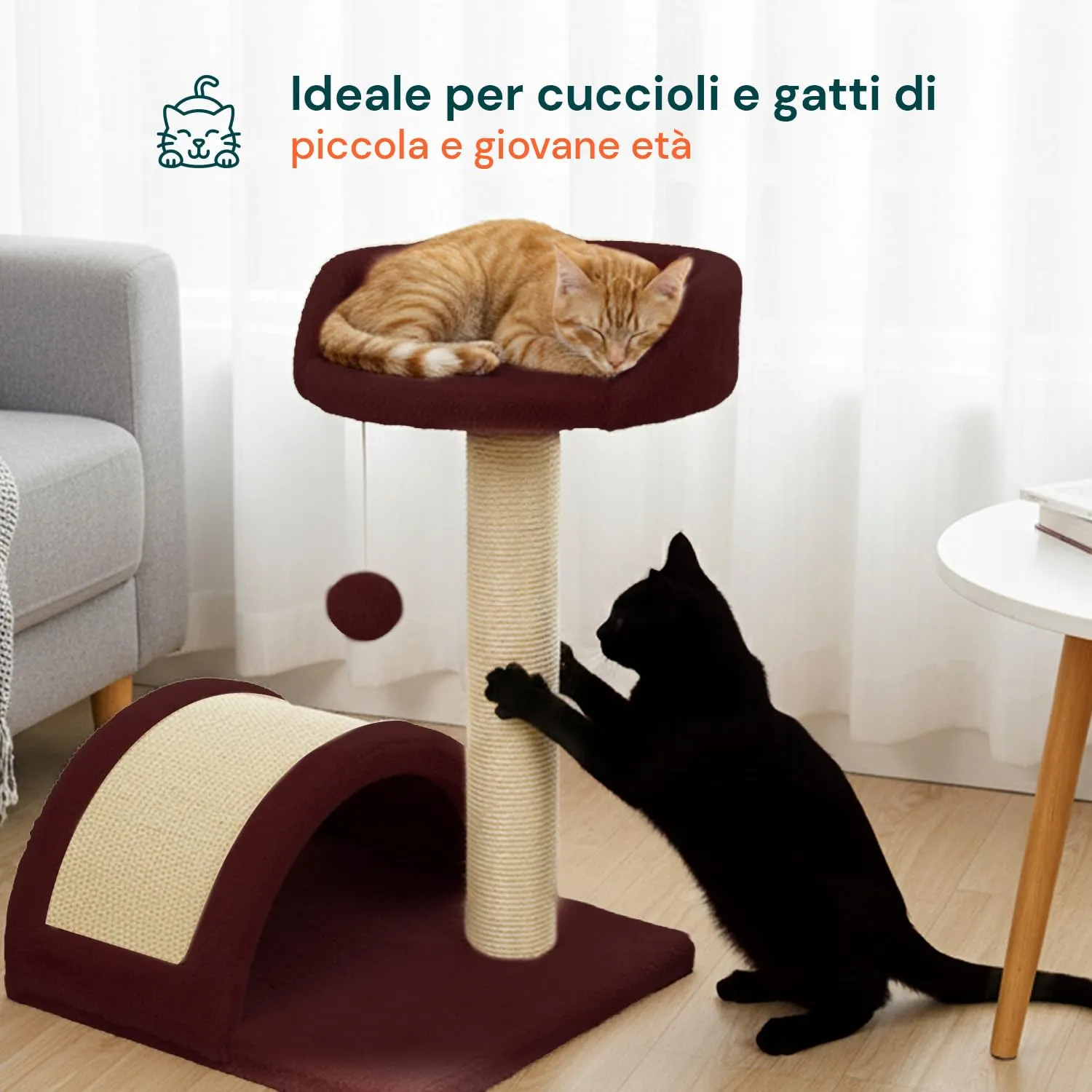 Avilia Tiragraffi Gatti Piccoli 50 cm, Arco in Sisal e Pallina, Bordeaux - immagine 7