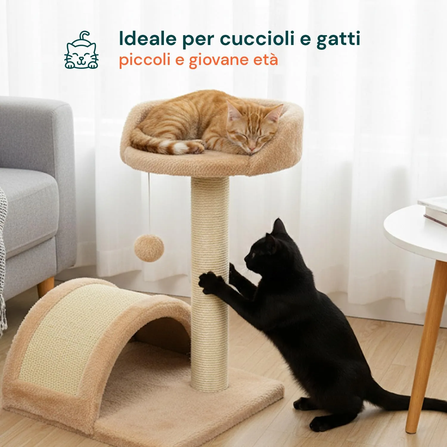 Avilia Tiragraffi Gatti Piccoli 50 cm, Arco in Sisal e Pallina, Beige - immagine 7
