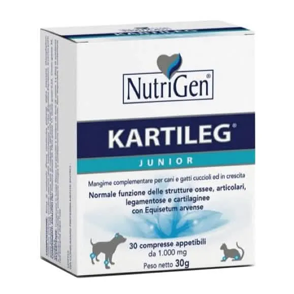 Kartileg junior 60 tavolette - immagine 1