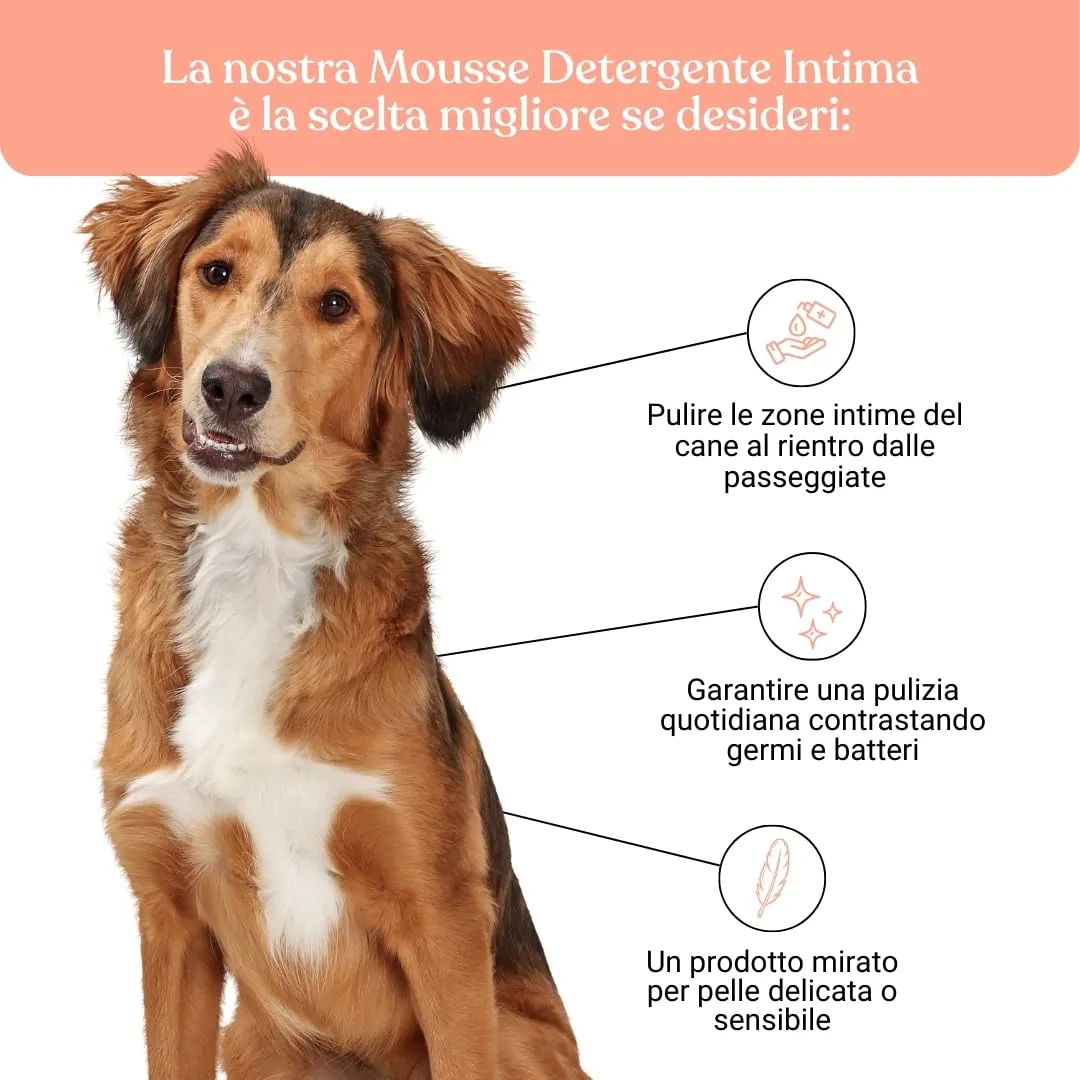 Bau Mousse Detergente Intimo per Cani senza Risciacquo – Con Acqua di Camomilla e Aloe Vera Bio – Pulizia Delicata Zone Sensibili, Formula Lenitiva e Rinfrescante – Ideale Uso Quotidiano - immagine 3