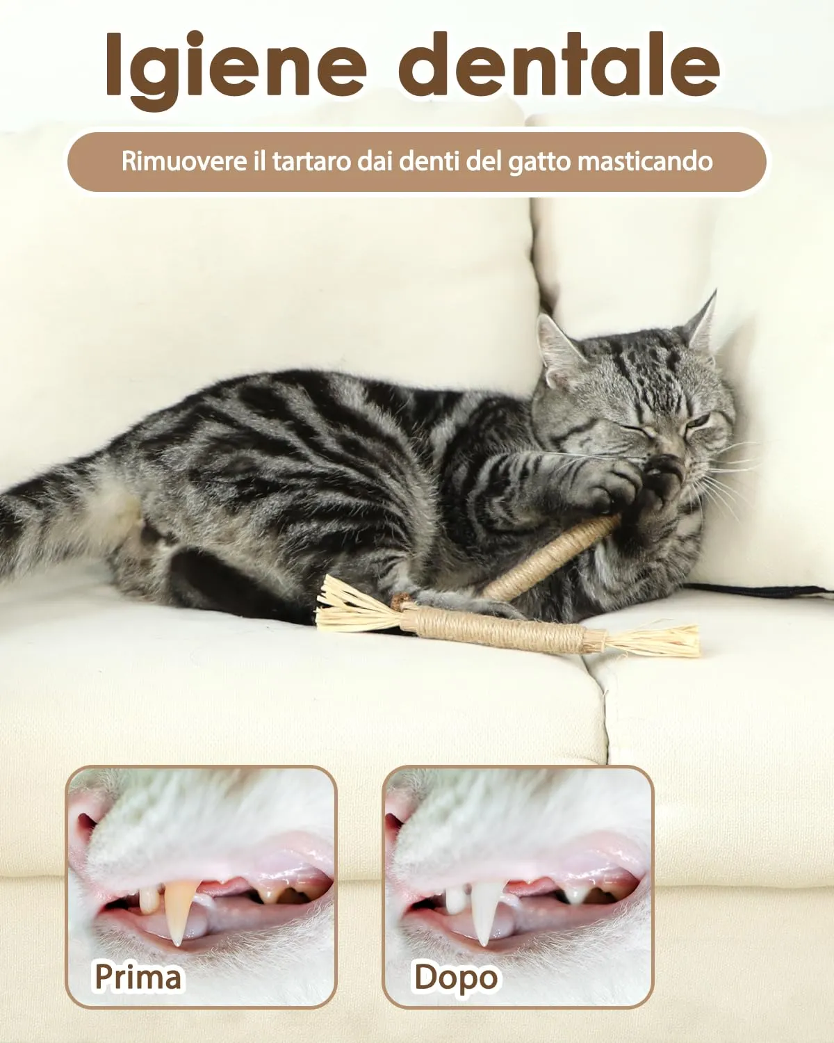Set Misto di Giochi per Gatti, Gioco per Gatto per la Pulizia dei Denti - immagine 3