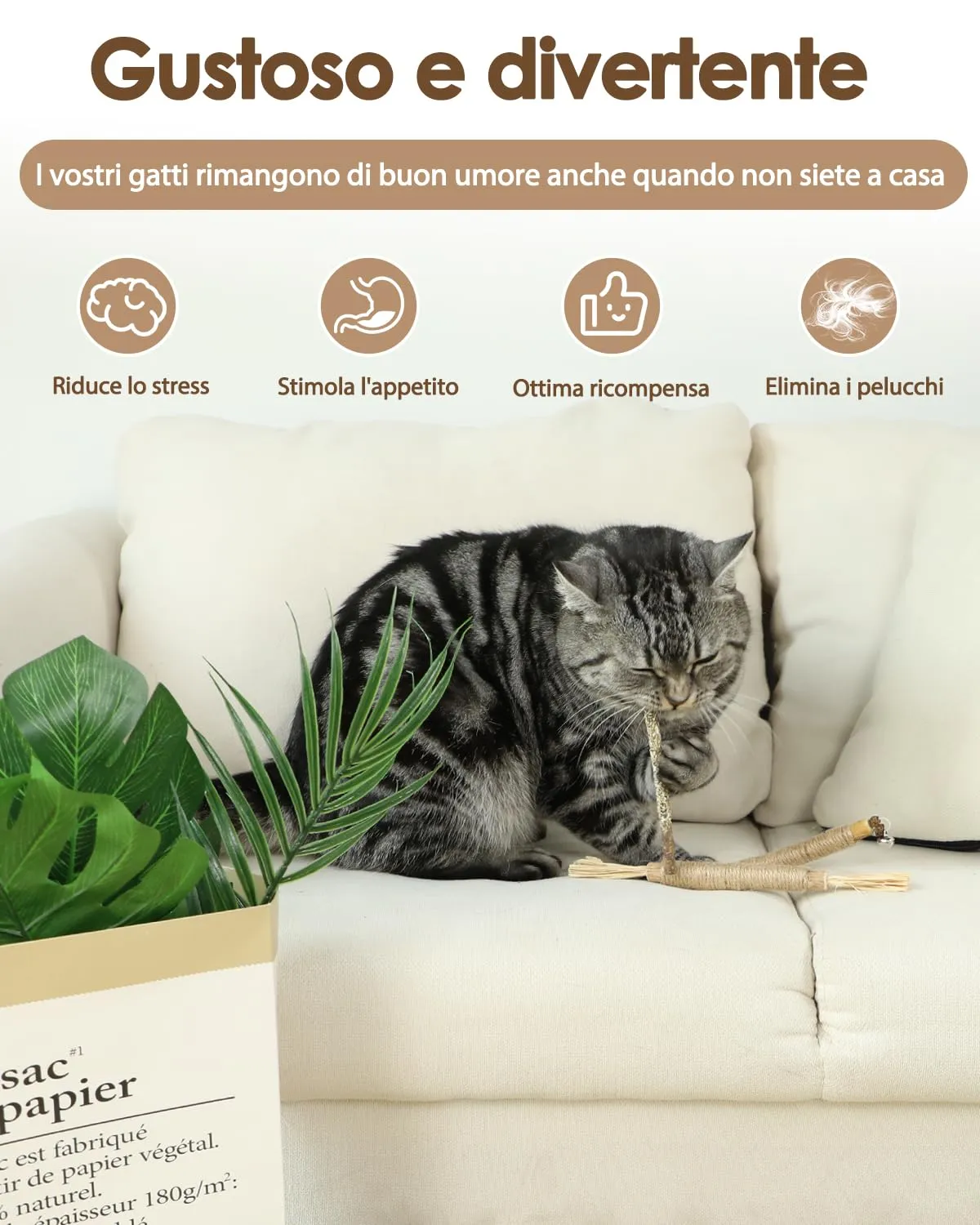 Set Misto di Giochi per Gatti, Gioco per Gatto per la Pulizia dei Denti - immagine 4