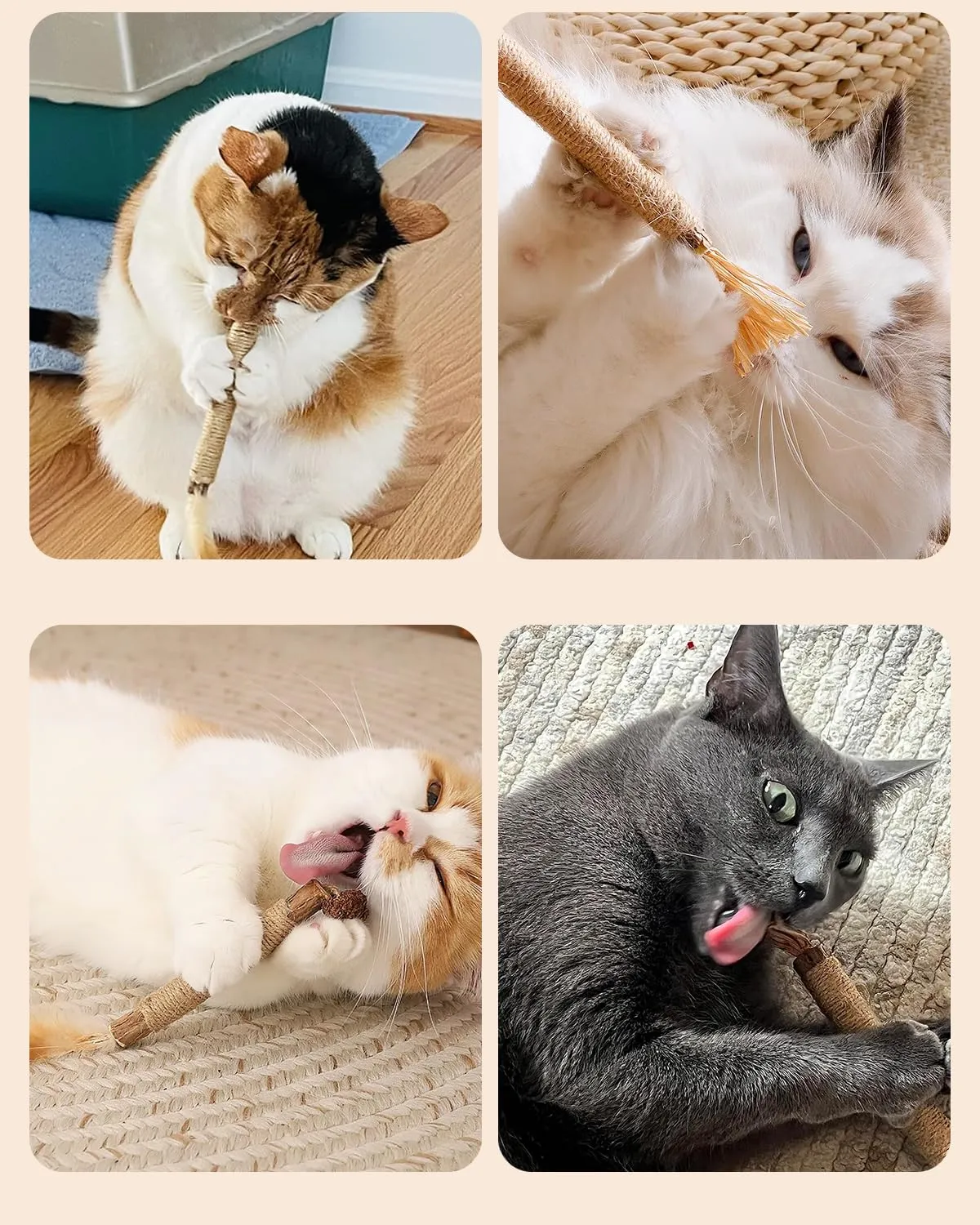 Set Misto di Giochi per Gatti, Gioco per Gatto per la Pulizia dei Denti - immagine 7