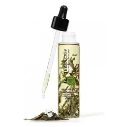 Bancha Oil (100ml) - immagine 1