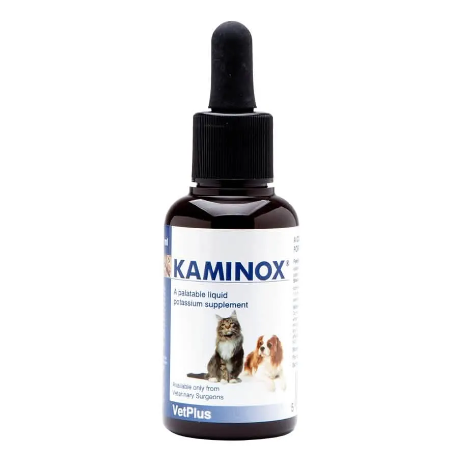 Kaminox sciroppo 60 ml - immagine 1