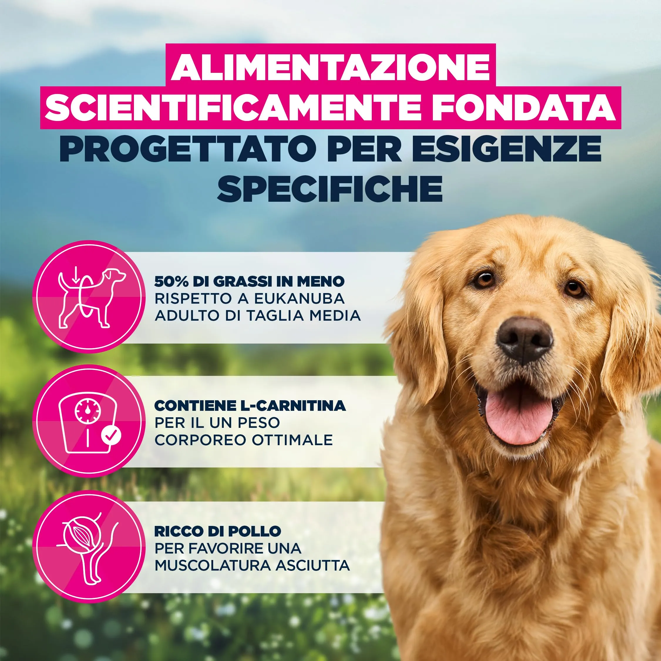 EUKANUBA Overweight Crocchette con pollo, 12 kg - immagine 5