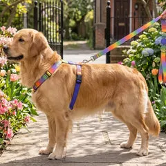 Pettorina ad H regolabile per cani in raso Intense Spring Blossom Morso Taglia L 46-60 cm - immagine 1