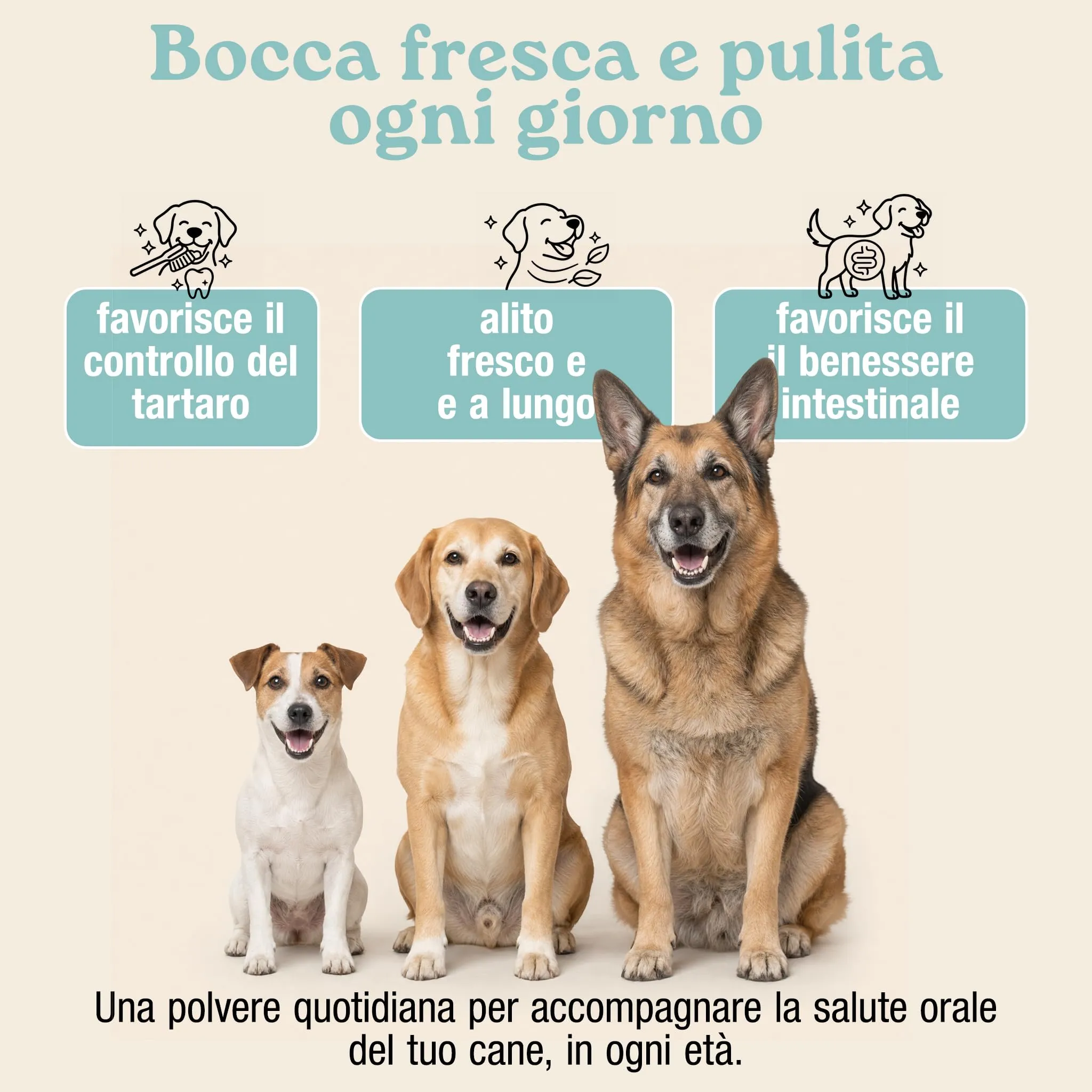 Placca Tartaro e Alito Fresco Cane | Pulizia Denti Cane | Polvere da 150g - immagine 2