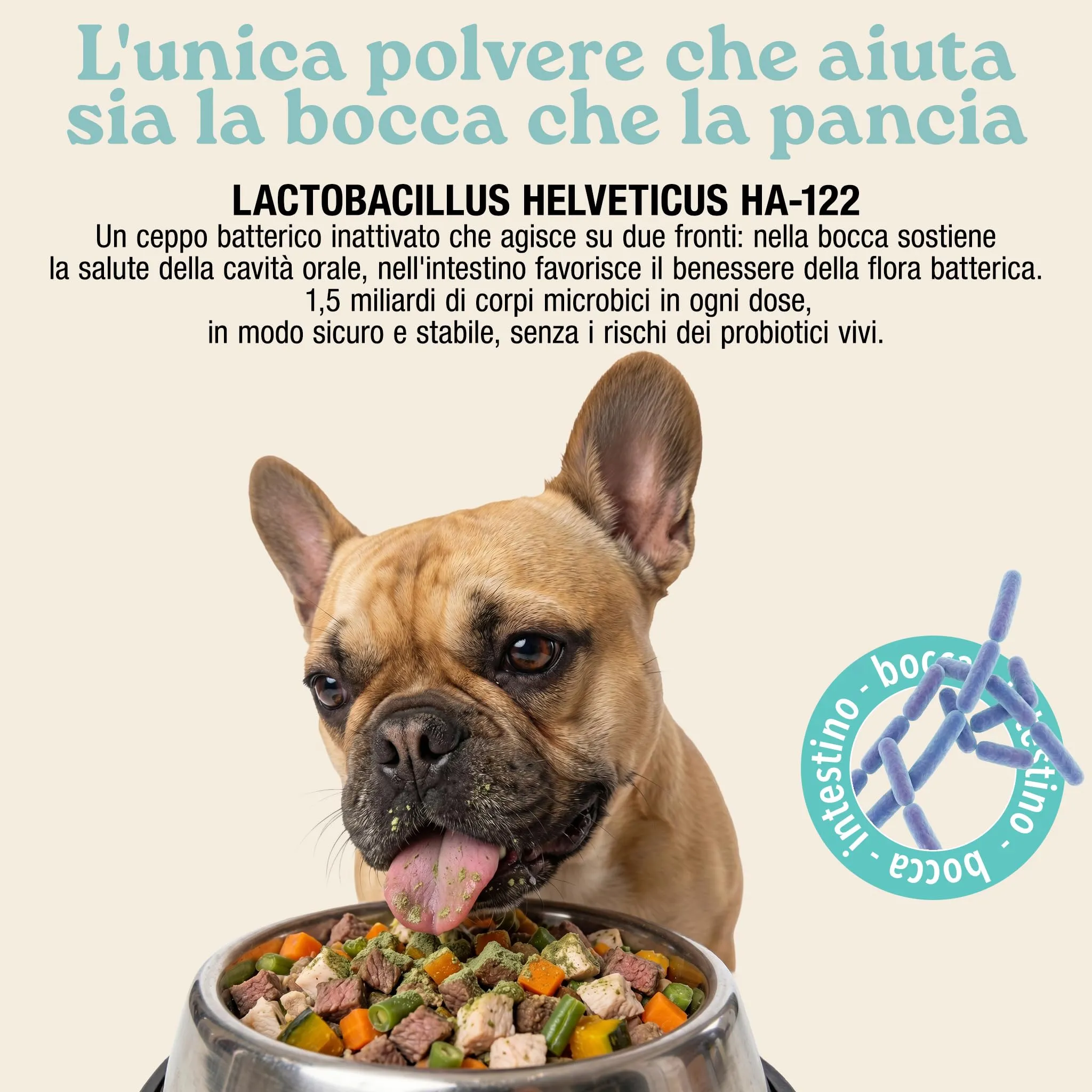 Placca Tartaro e Alito Fresco Cane | Pulizia Denti Cane | Polvere da 150g - immagine 8