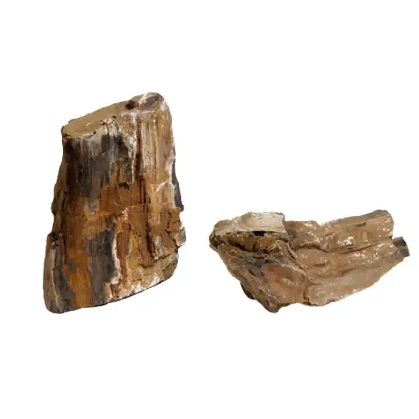Acquadeco Legno decorativo per acquari e terrari Fossilized wood Medium - immagine 1