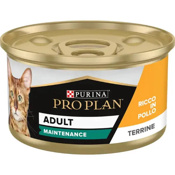 Purina Pro Plan Adult Maintenance Umido Gatti Terrine Pollo 85 g 85 gr - confezione da 24 pezzi - Cibo umido per gatti - immagine 1