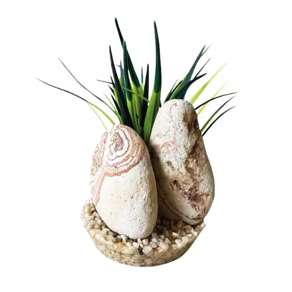 Blu Bios Pietra decorativa con pianta per acquari Rainbow stone - immagine 1