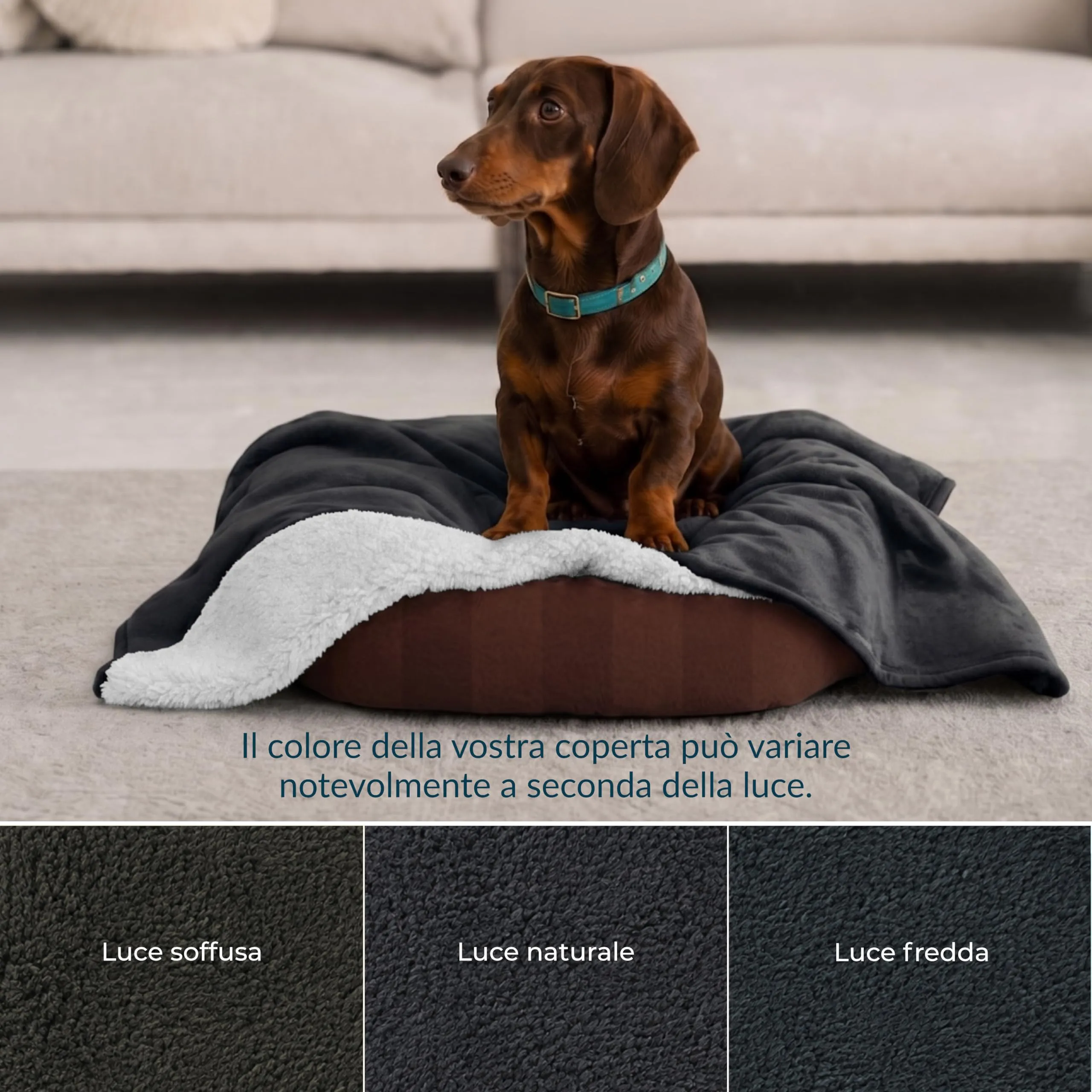 Twinzen Coperta Impermeable Cani 63x88 cm - Copridivano Pile Sherpa - immagine 8