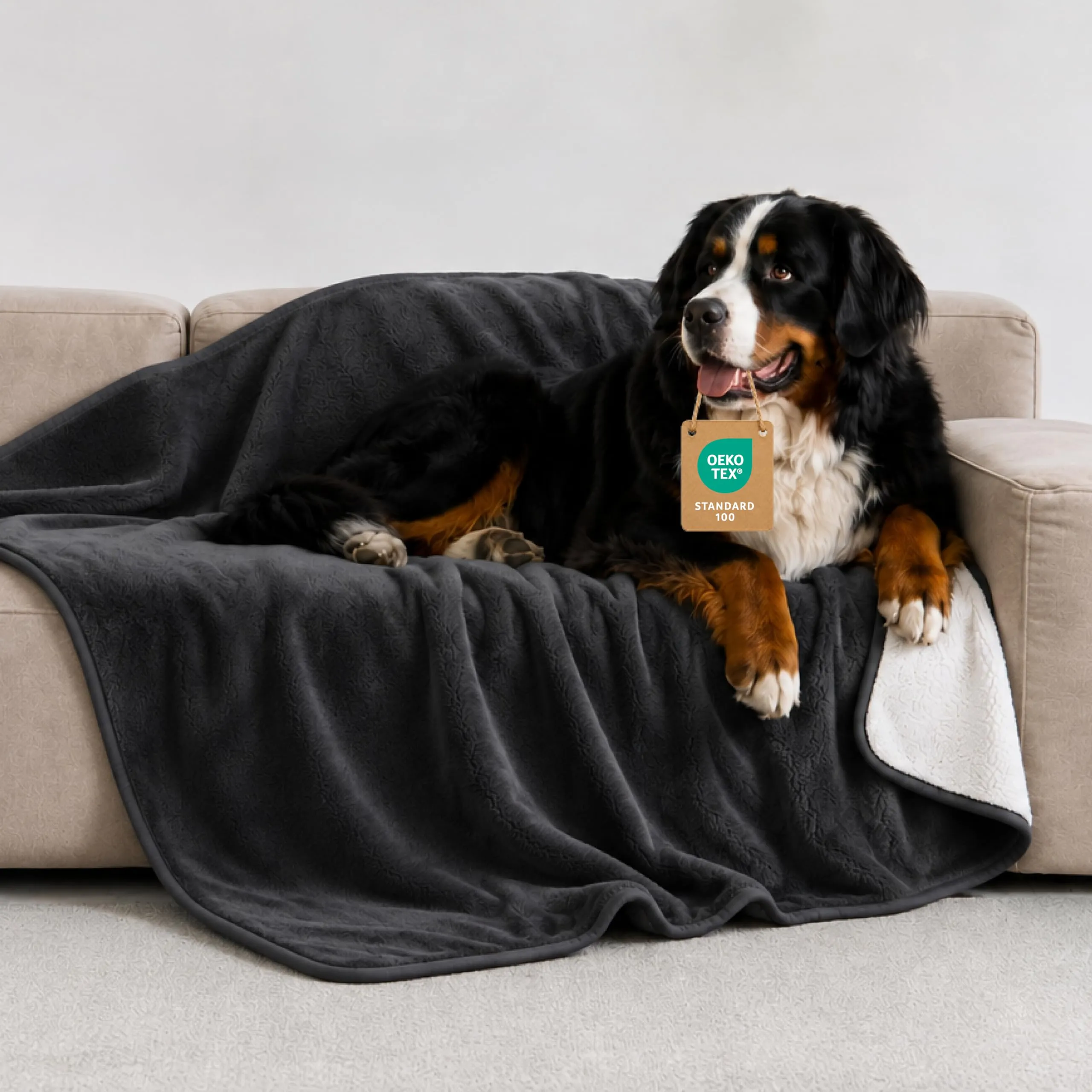 Twinzen Coperta Impermeable Cani 100x120 cm - Copridivano Pile Sherpa - immagine 1