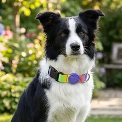 Collare regolabile per cani in raso Intense Spring Blossom Morso Taglia L 43-70 cm - immagine 1