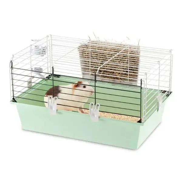 Gabbia di piccole dimensioni per piccoli mammiferi Guinea Ferplast Modello 60: misura 58x38x32 cm - immagine 1