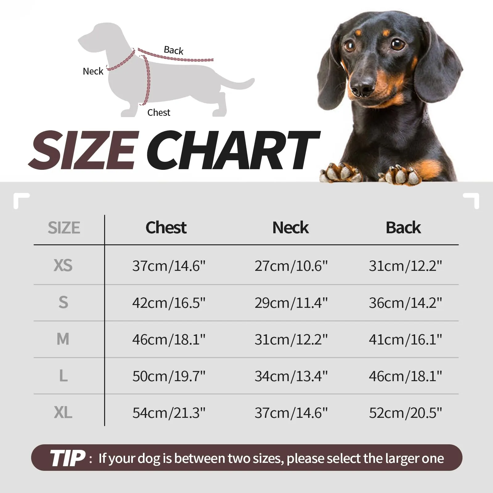 Hjyokuso Maglione per cani di piccola taglia XL – Maglione leggero in pile, elasticizzato, per mini bassotto, primavera, estate, autunno e inverno - immagine 4