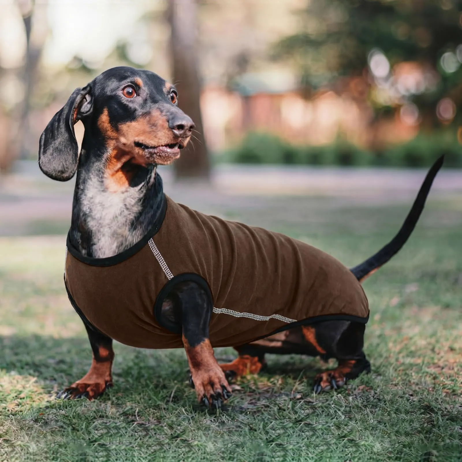 Hjyokuso Maglione per cani di piccola taglia XL – Maglione leggero in pile, elasticizzato, per mini bassotto, primavera, estate, autunno e inverno - immagine 6
