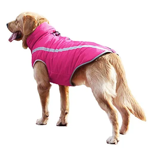 Idepet Giacca Invernale per Cani Impermeabile e Antivento, Abbigliamento per Cani di Taglia Piccola e Media con Foro per Imbracatura XL-6XL - immagine 6