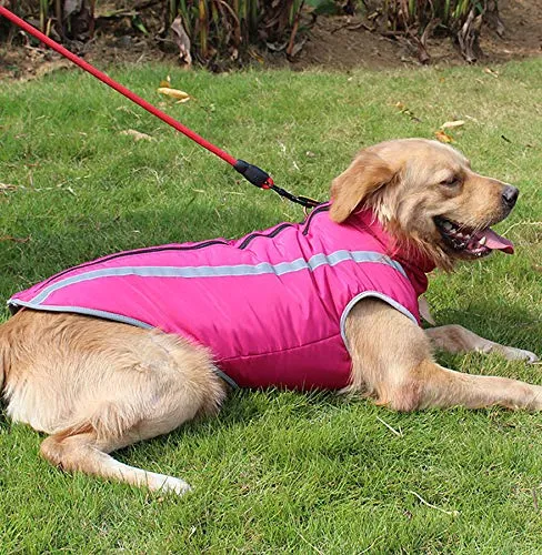 Idepet Cappotto per cani impermeabile Giacca invernale calda, Giacca per cani antivento Abbigliamento per cani Completo per cani di taglia piccola di taglia media con foro per imbracatura XL-6XL - immagine 4