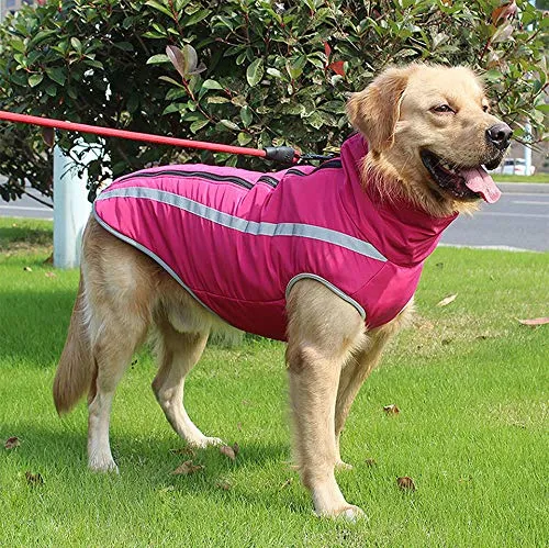 Idepet Cappotto per cani impermeabile Giacca invernale calda, Giacca per cani antivento Abbigliamento per cani Completo per cani di taglia piccola di taglia media con foro per imbracatura XL-6XL - immagine 3