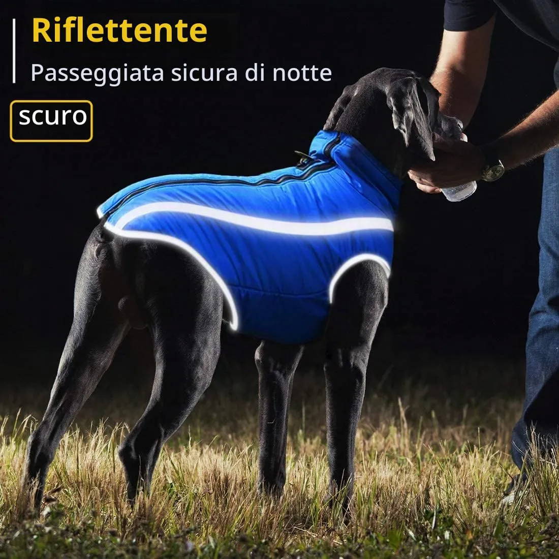 Idepet Cappotto per cani impermeabile Giacca invernale calda, Giacca per cani antivento Abbigliamento per cani Completo per cani di taglia piccola di taglia media con foro per imbracatura XL-6XL - immagine 7