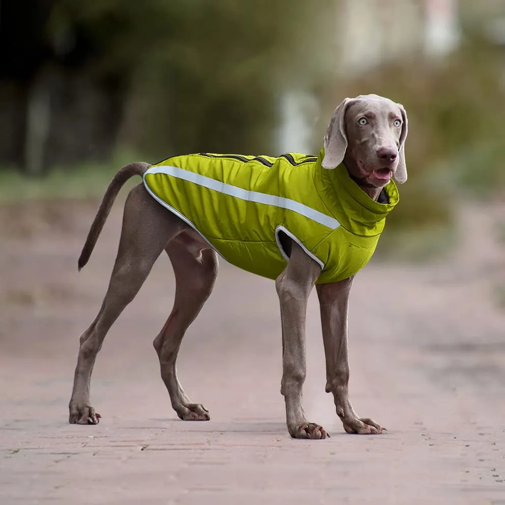 Idepet Cappotto per cani impermeabile Giacca invernale calda, Giacca per cani antivento Abbigliamento per cani Completo per cani di taglia piccola di taglia media con foro per imbracatura XL-6XL - immagine 3