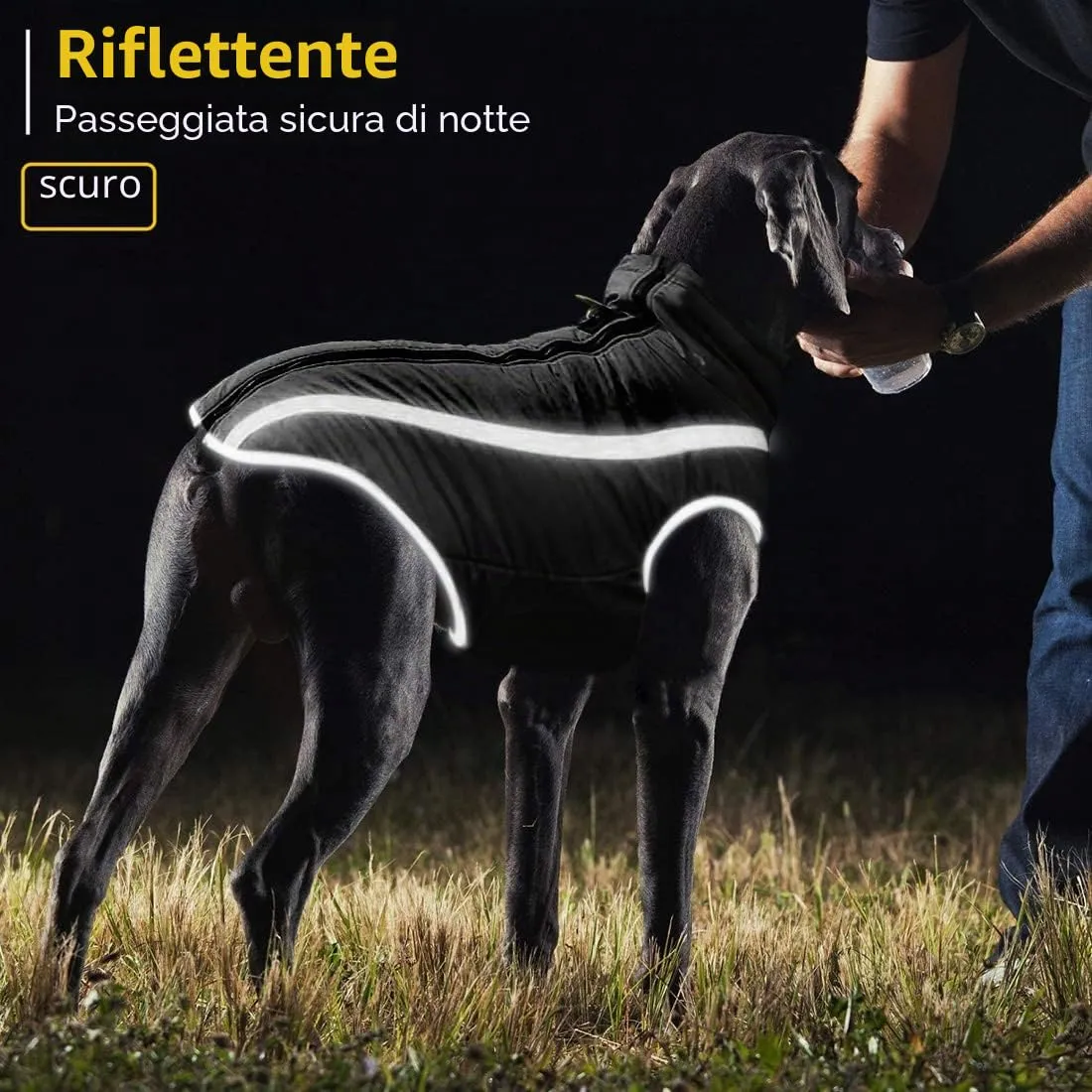 Idepet Cappotto per cani impermeabile Giacca invernale calda, Giacca per cani antivento Abbigliamento per cani Completo per cani di taglia piccola di taglia media con foro per imbracatura XL-6XL - immagine 7