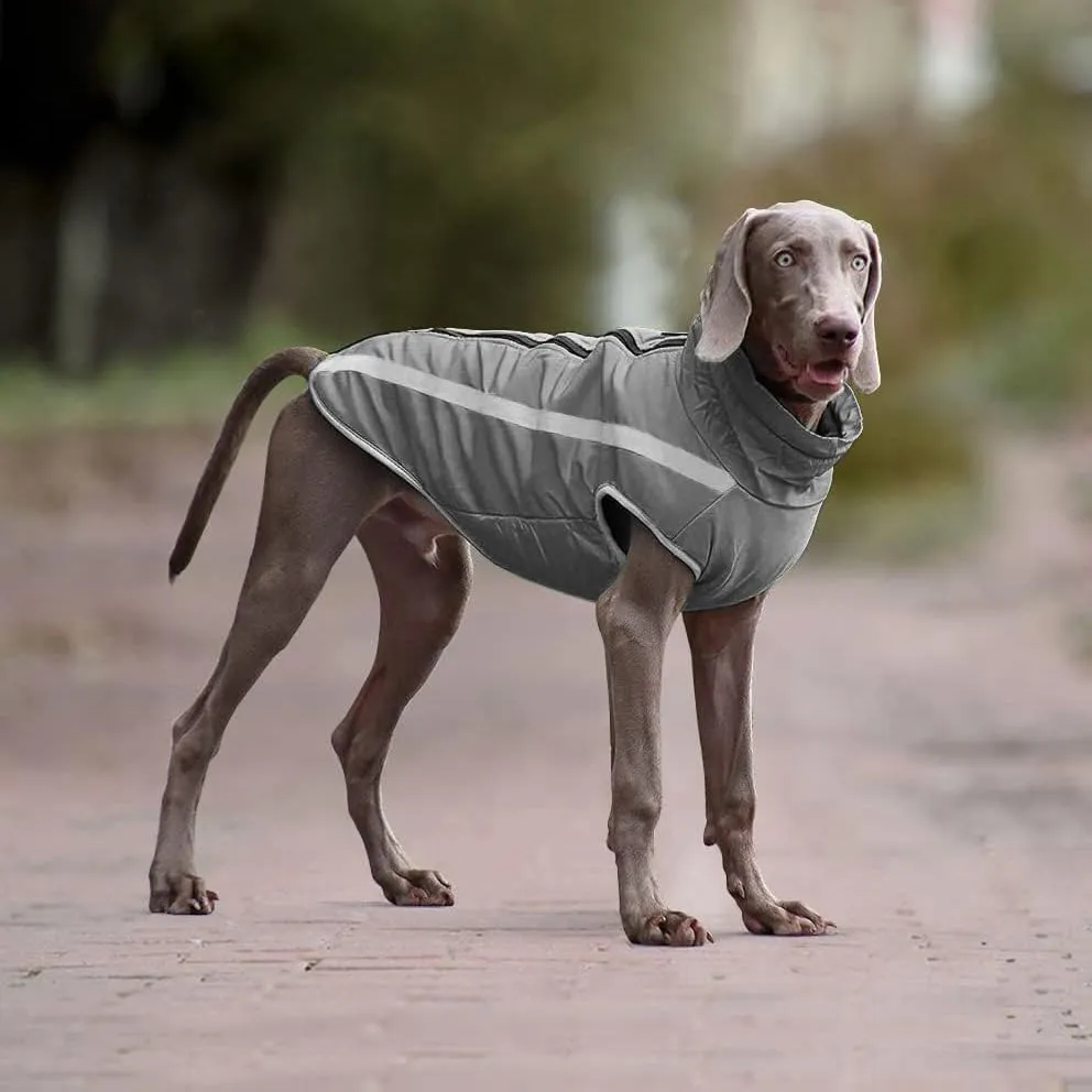 Idepet Giacca Invernale per Cani Impermeabile e Antivento, Calda Abbigliamento Completo per Cani di Taglia Piccola e Media con Foro per Imbracatura XL-6XL - immagine 5