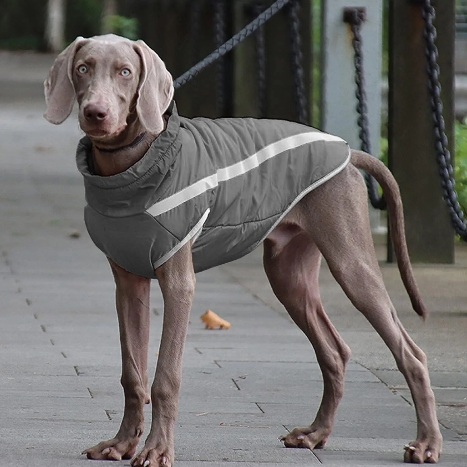 Idepet Giacca Invernale per Cani Impermeabile e Antivento, Calda Abbigliamento Completo per Cani di Taglia Piccola e Media con Foro per Imbracatura XL-6XL - immagine 6