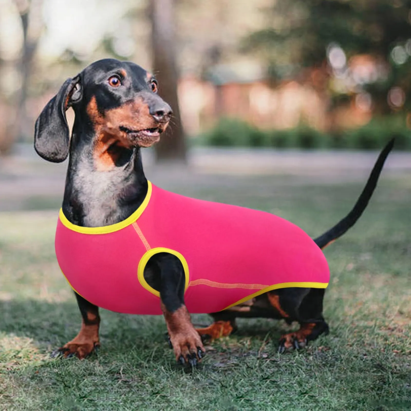 Maglione per cane, maglietta per cani, felpa piccola taglia per bassotto, vestito per bassotti, gilet - immagine 6