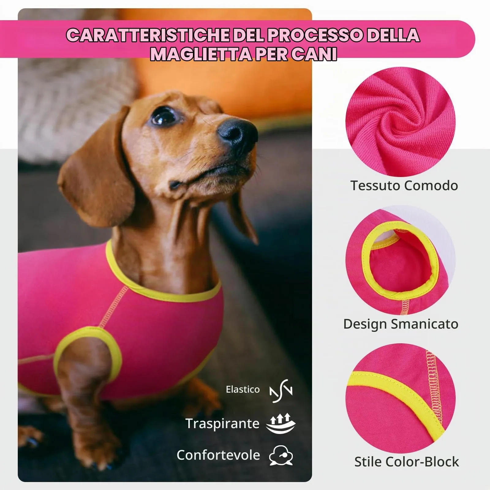 Hjyokuso Maglione Per Cane Bassotto, Maglioncino Cane Taglia Piccola, Maglietta Per Cani, Felpa Cane Piccola Taglia, Maglietta Cane, Maglietta Per Bassotto, Vestiti Per Bassotti, Gilet Per Bassotto - immagine 2