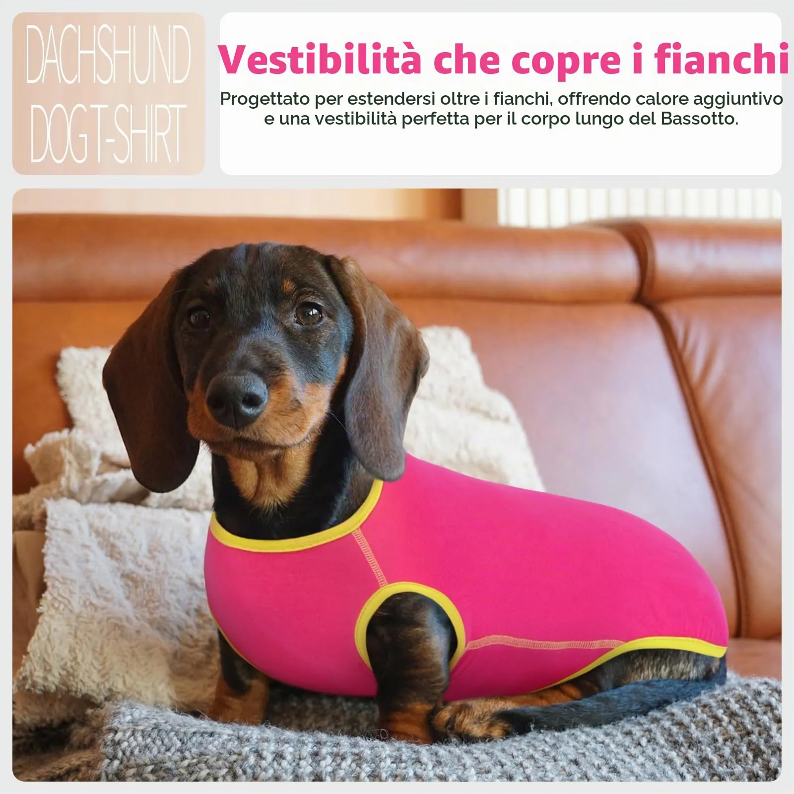 Hjyokuso Maglione Per Cane Bassotto, Maglioncino Cane Taglia Piccola, Maglietta Per Cani, Felpa Cane Piccola Taglia, Maglietta Cane, Maglietta Per Bassotto, Vestiti Per Bassotti, Gilet Per Bassotto - immagine 5