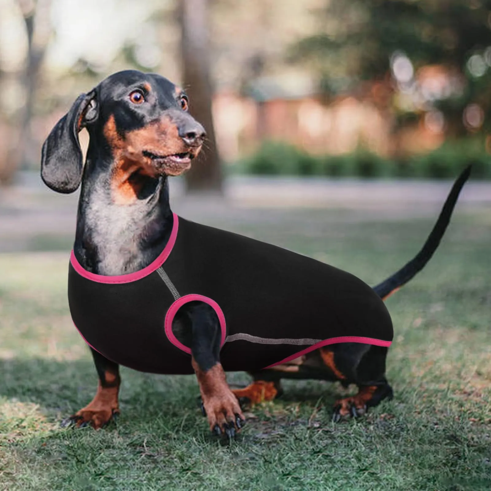 Hjyokuso Maglione per Bassotto, Maglioncino Taglia Piccola, Felpa, Maglietta, Gilet, Vestiti per Cani - immagine 7