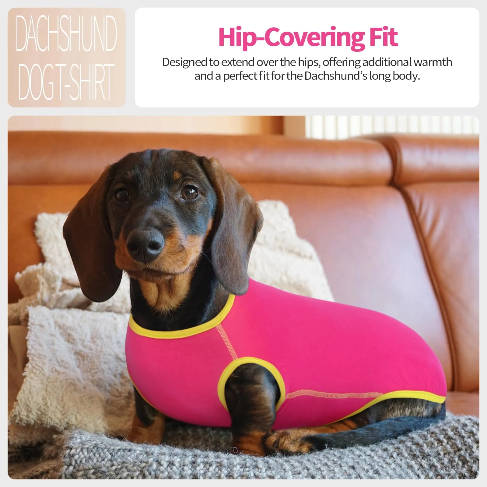 Hjyokuso Maglione Per Cane Bassotto, Maglioncino Cane Taglia Piccola, Maglietta Per Cani, Felpa Cane Piccola Taglia, Maglietta Cane, Maglietta Per Bassotto, Vestiti Per Bassotti, Gilet Per Bassotto - immagine 5