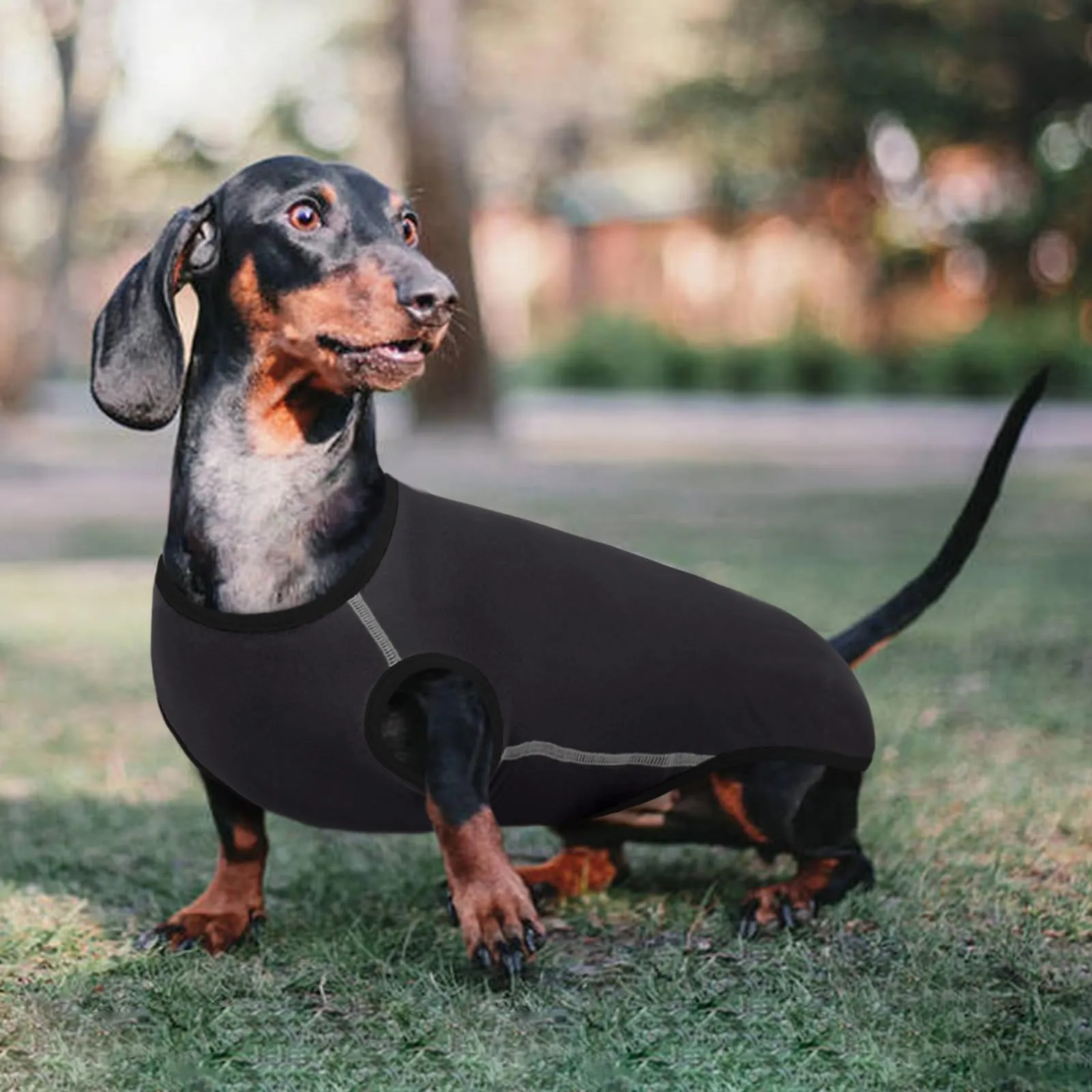 Hjyokuso Maglione Per Cane Bassotto, Maglietta Per Cani Confortevole per Interno o Esterno - Grigio, XS - immagine 6