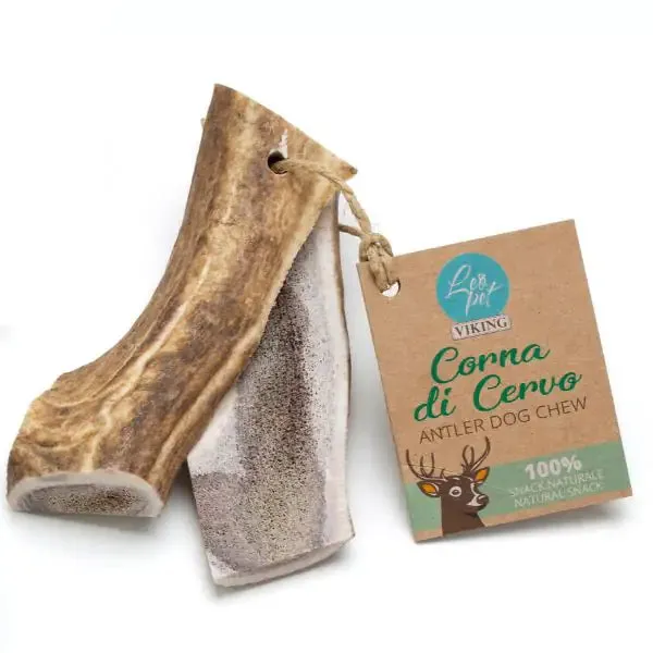 Viking Leopet Corna di Cervo aperte Extra Large 180 gr - immagine 1