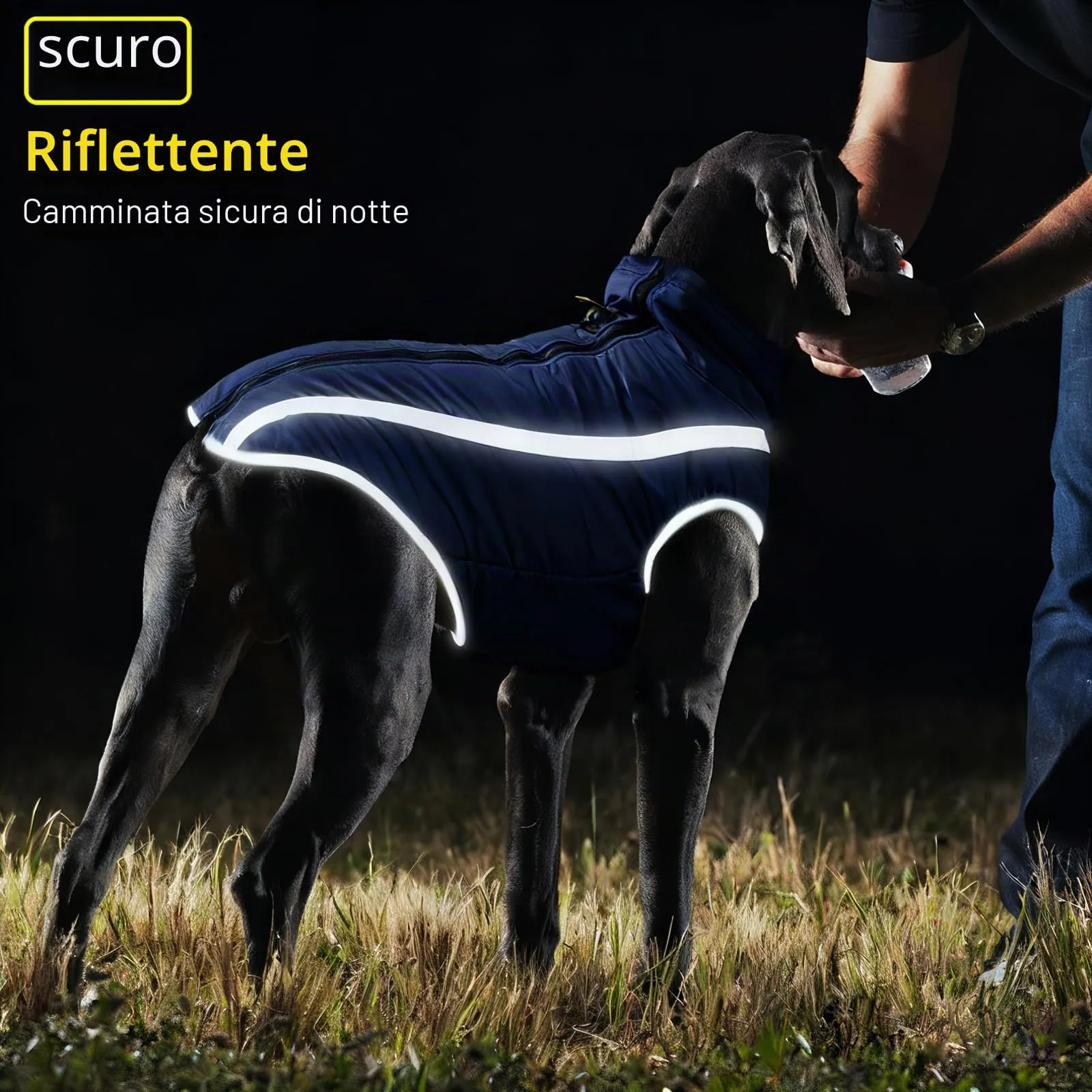 Idepet Cappotto per cani impermeabile Giacca invernale calda, Giacca per cani antivento Abbigliamento per cani Completo per cani di taglia piccola di taglia media con foro per imbracatura XL-6XL - immagine 4