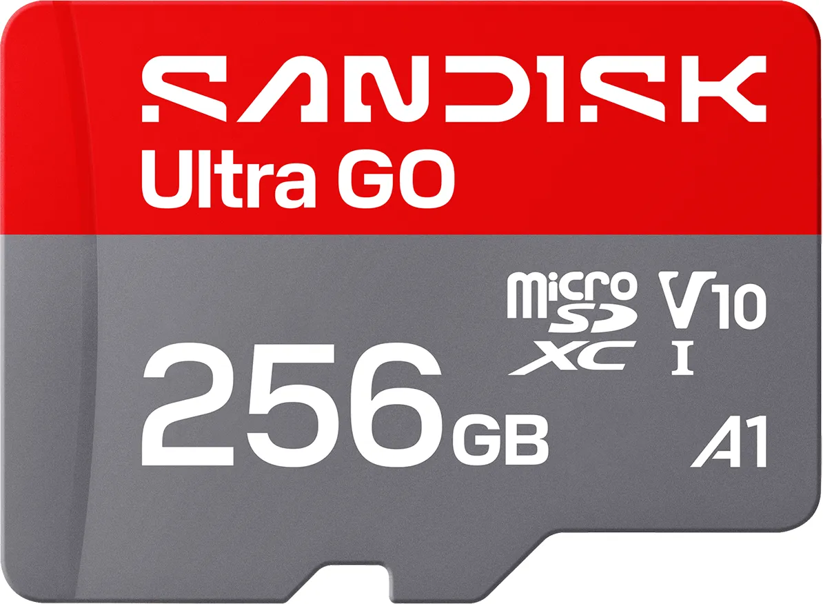 Scheda di memoria microSDXC SanDisk Ultra GO Android A1, 256Gb, Classe 10 / UHS-1 U1 SDSQUGN-256G-GN6MN - immagine 1