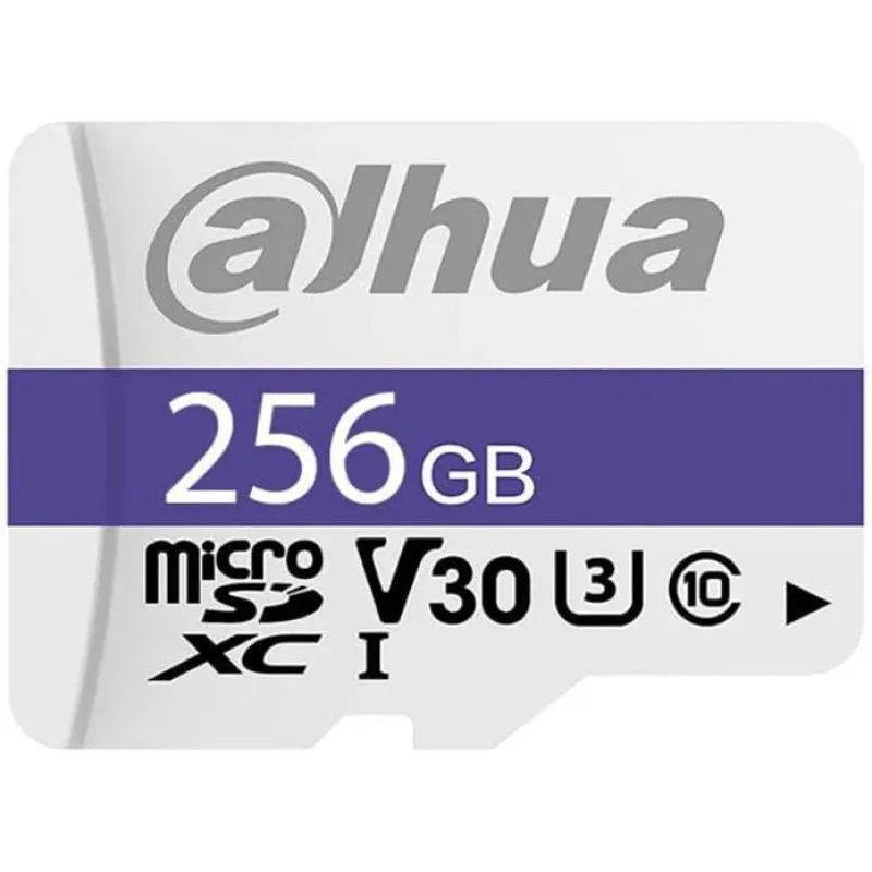 Dahua Technology P100 64 GB MicroSD UHS-I Classe 10 - immagine 1
