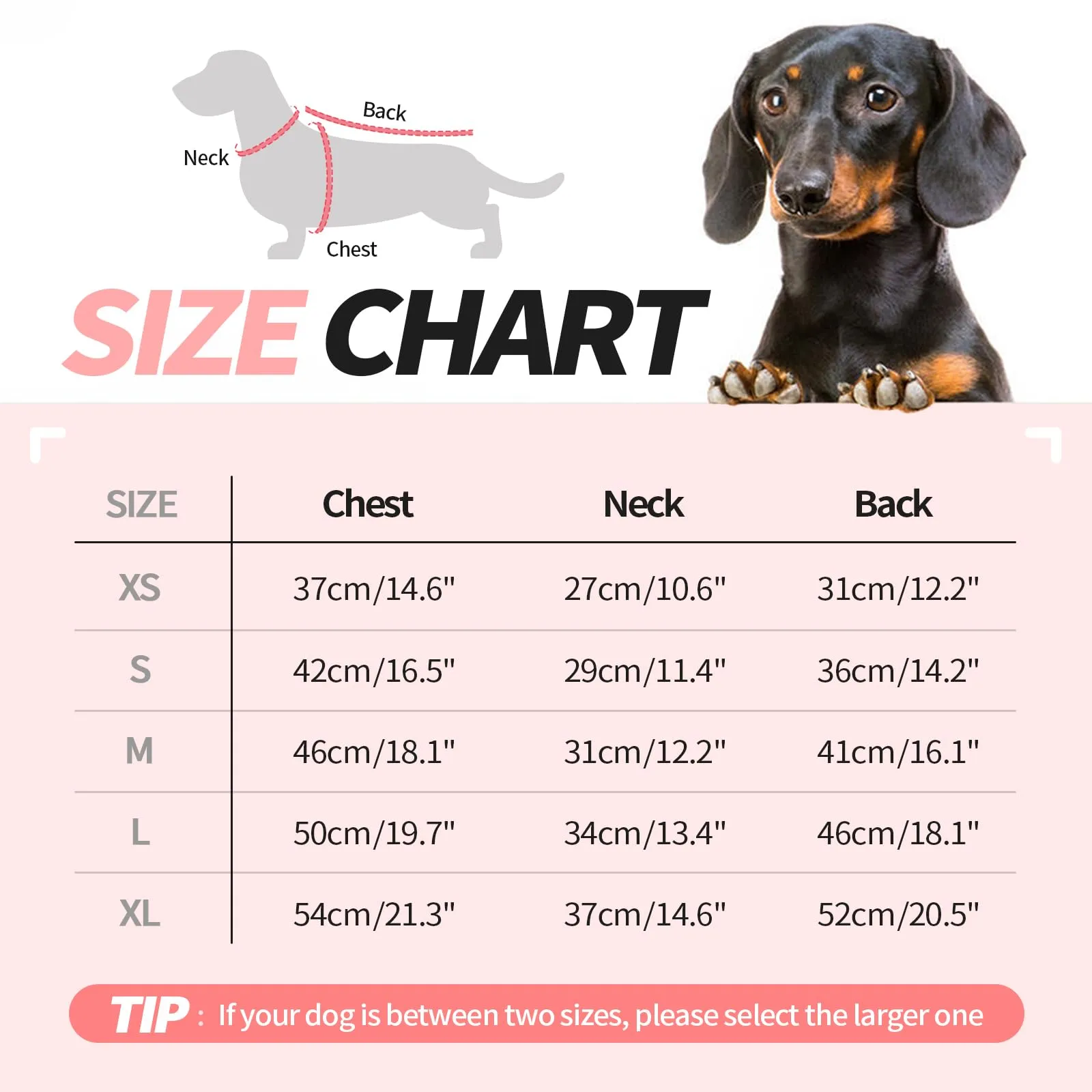Hjyokuso Maglione a bassotto per cani di piccola taglia XS – Maglione leggero in pile, elasticizzato per mini bassotto primavera, estate, autunno inverno - immagine 4