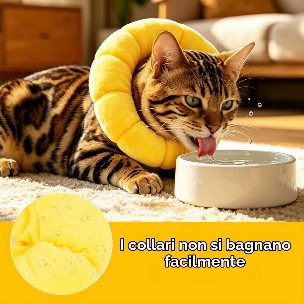 Adiwo Collare Elisabettiano Gatto, Collare Protettivo Gatto, Regolabile, Morbido e Comodo, Protettivo Dopo Chirurgia, Anti-morso per Animali Domestici Dopo l'Intervento Chirurgico,Girasole Carino (XS) - immagine 4