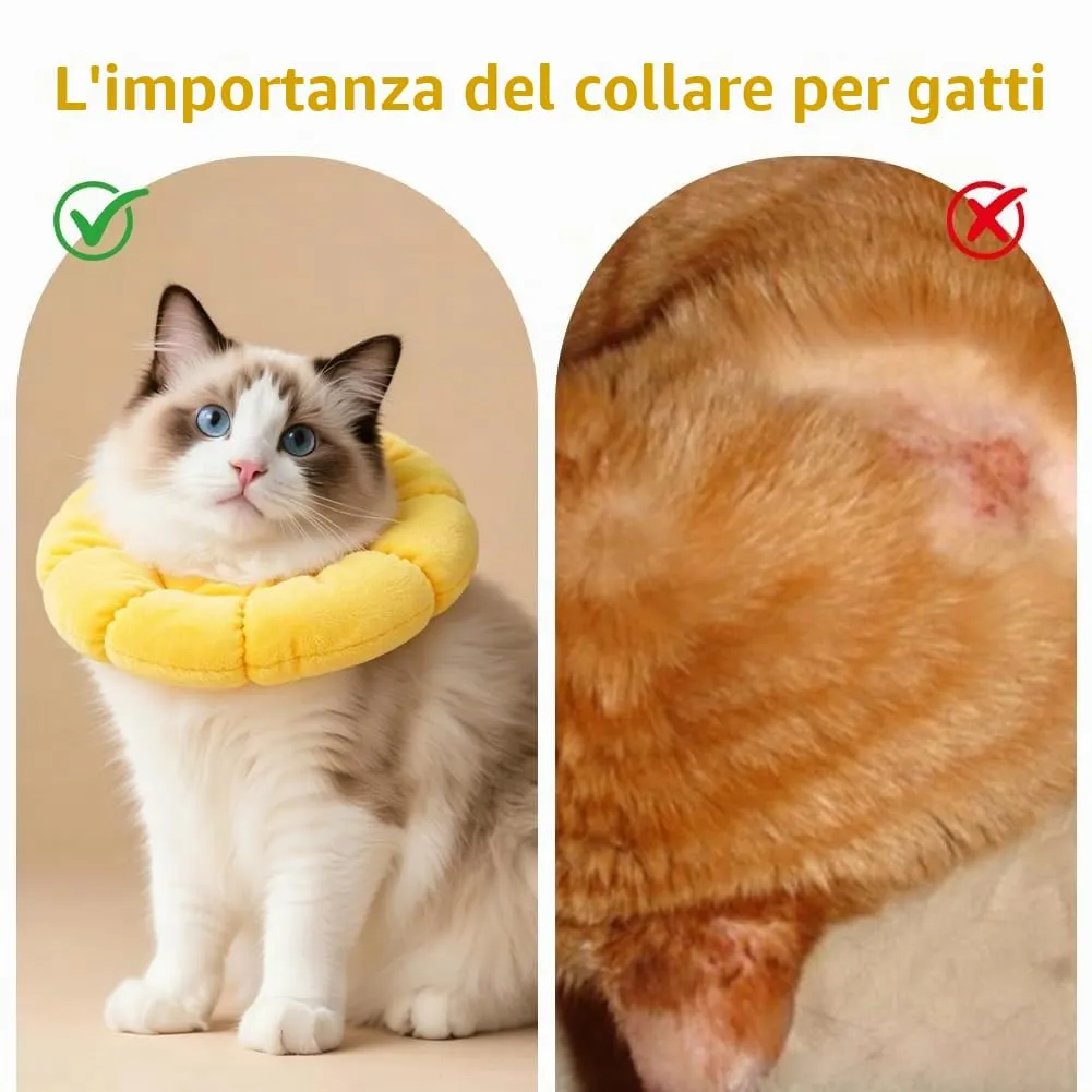 Adiwo Collare Elisabettiano Gatto, Collare Protettivo Gatto, Regolabile, Morbido e Comodo, Protettivo Dopo Chirurgia, Anti-morso per Animali Domestici Dopo l'Intervento Chirurgico,Girasole Carino (XS) - immagine 5