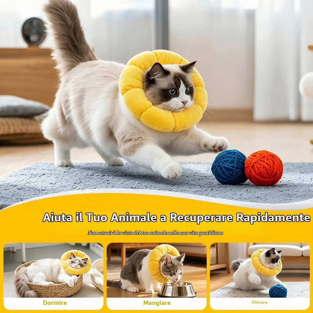 Adiwo Collare Elisabettiano Gatto, Collare Protettivo Gatto, Regolabile, Morbido e Comodo, Protettivo Dopo Chirurgia, Anti-morso per Animali Domestici Dopo l'Intervento Chirurgico,Girasole Carino (L) - immagine 6